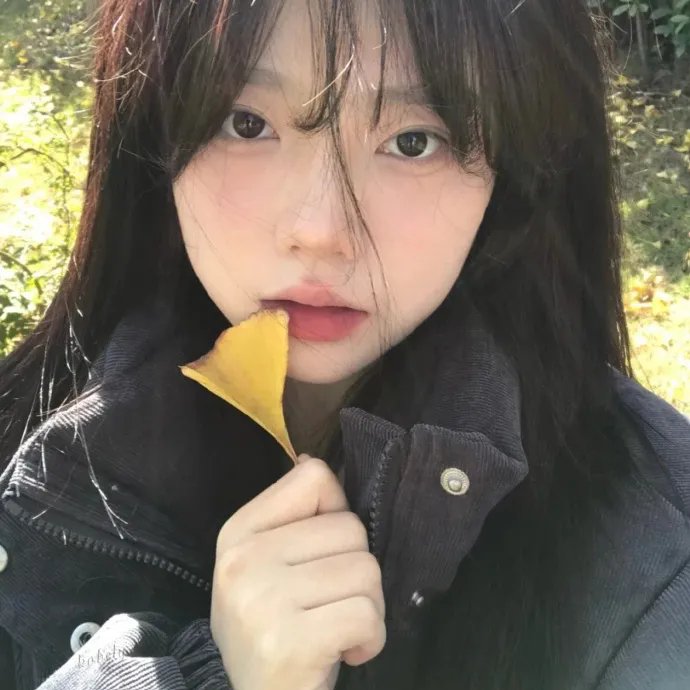 陈皓宇